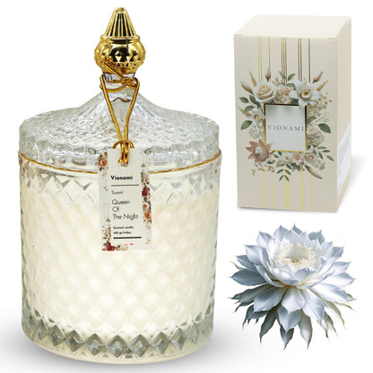 Queen of the Night – Captivating Bloom with Intoxicating Night Scent